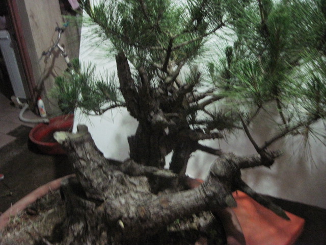 0527���� 003.jpg