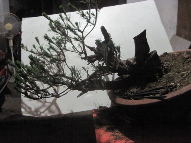 0527���� 011.jpg