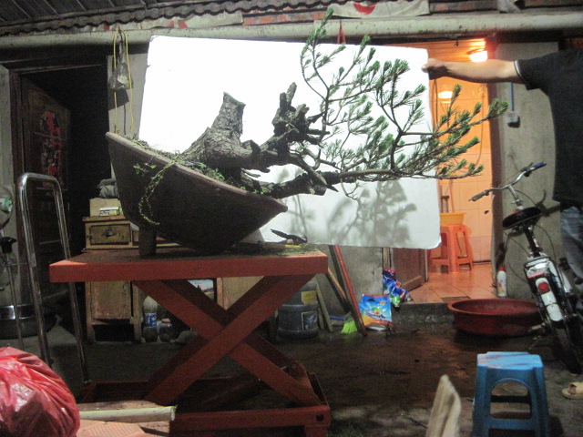 0527���� 013.jpg