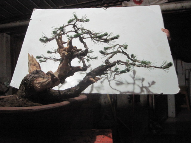 0527���� 017.jpg