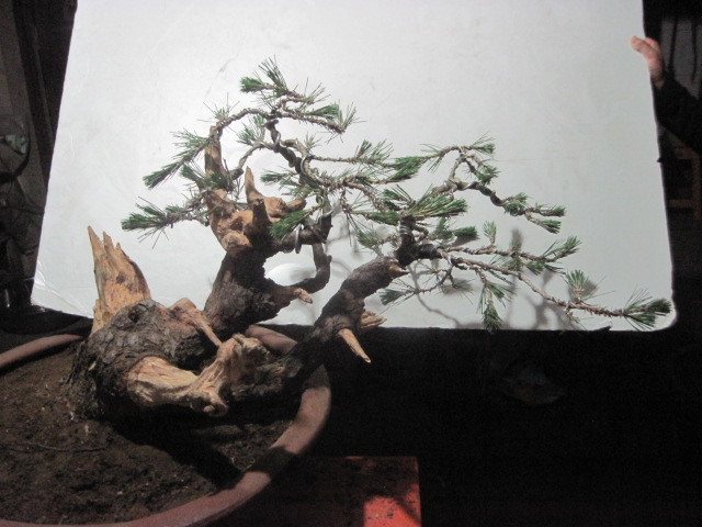 0527���� 018.jpg