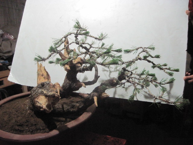 0527���� 019.jpg