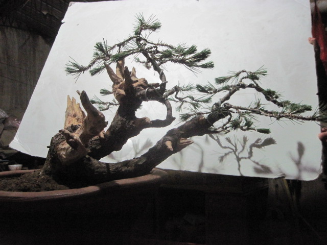 0527���� 020.jpg