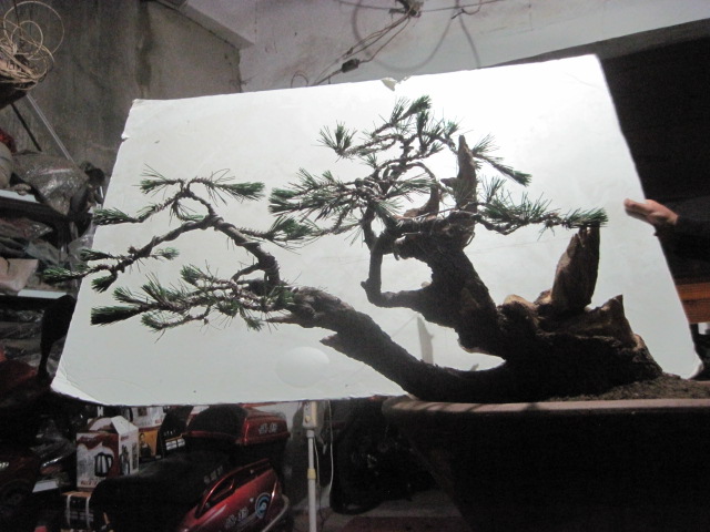 0527���� 022.jpg