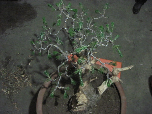 0527���� 024.jpg