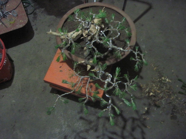 0527���� 025.jpg