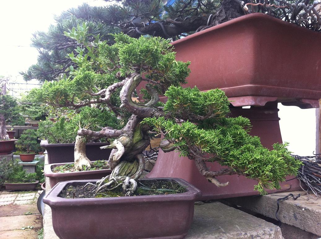 ϵ�㴨��� 002.jpg