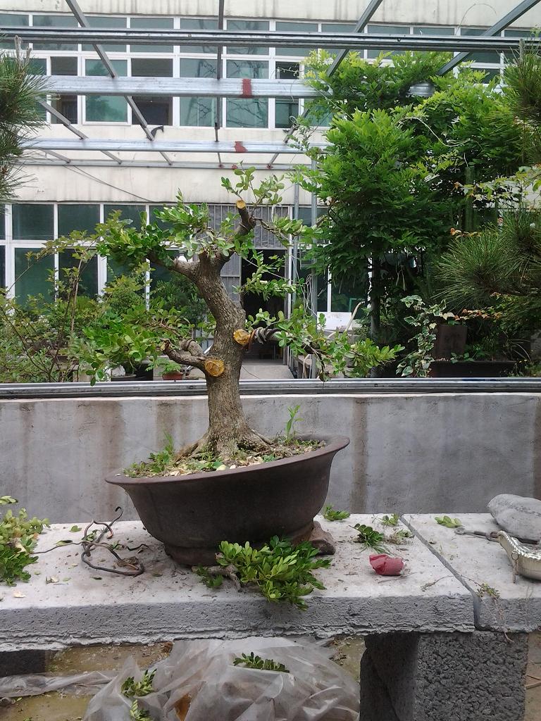 2013-05-25 09.20.48.jpg
