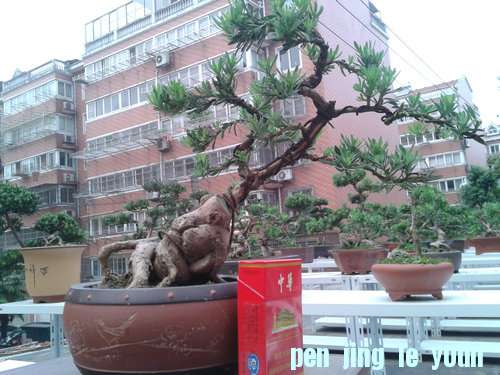 2013-05-20 18.39.52.jpg