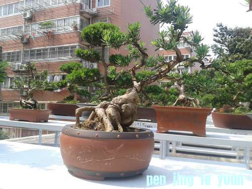 2013-05-21 14.01.29.jpg