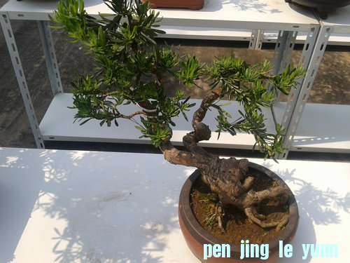 2013-05-21 14.02.46.jpg