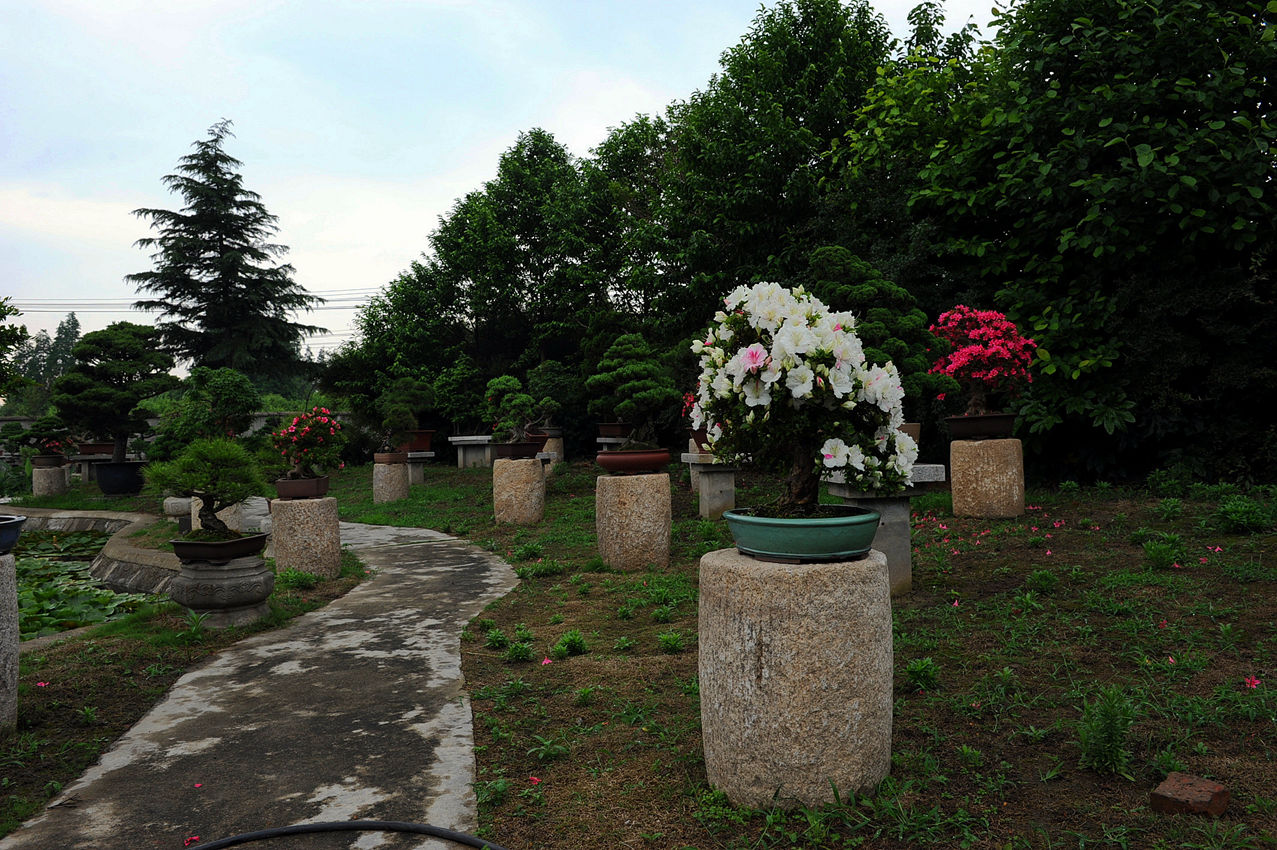 DSC_0152_.jpg