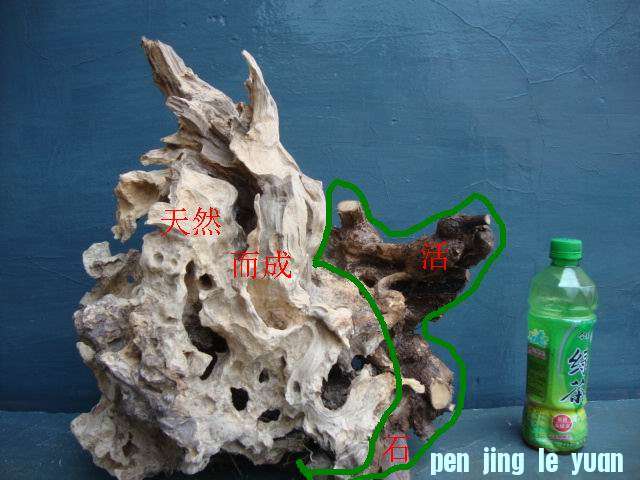 DSC05489.JPG