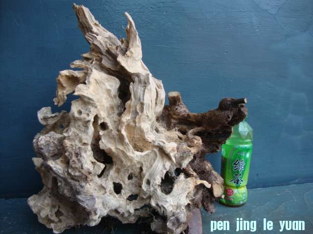 DSC05507.JPG