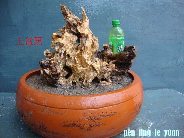 DSC05520.JPG