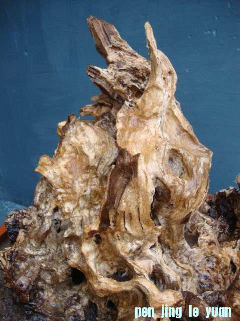 DSC05523.JPG