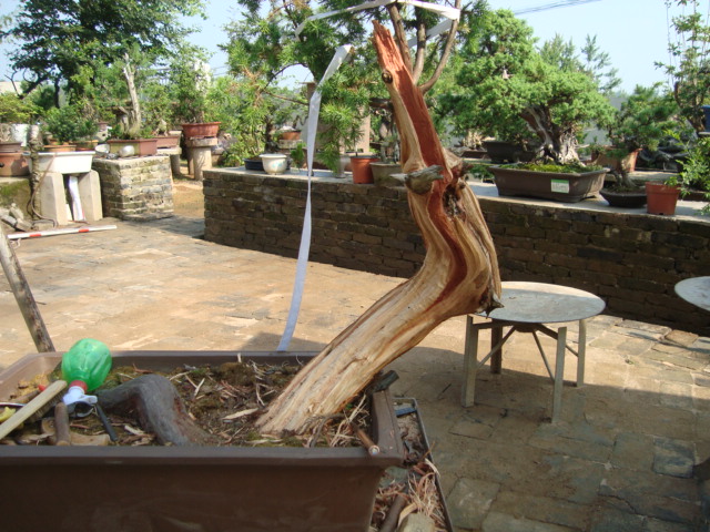 DSC07176.jpg