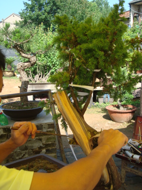 DSC07172.jpg