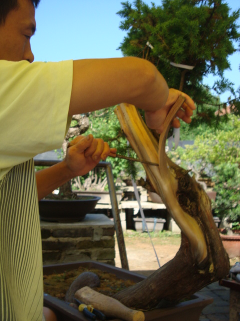 DSC07170.jpg