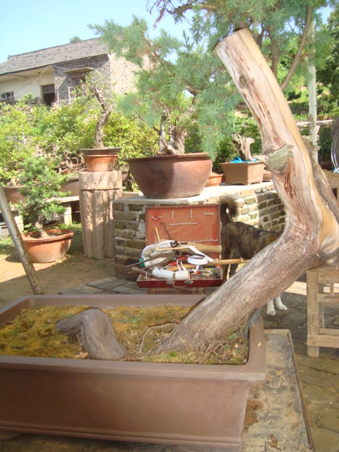 DSC07168.jpg