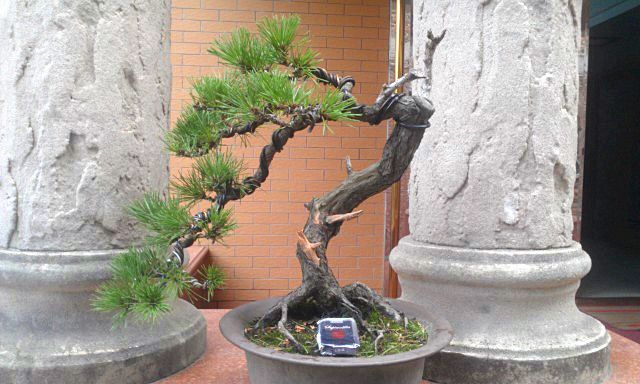 IMAG1749_.jpg