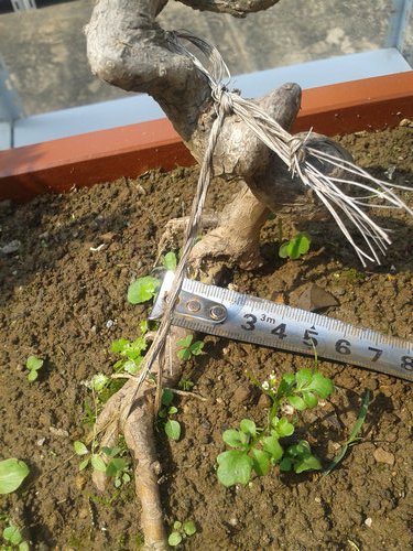 2013-05-21 14.09.16.jpg
