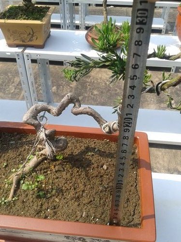 2013-05-21 14.09.33.jpg