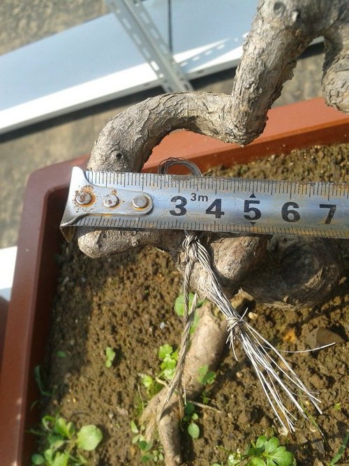 2013-05-21 14.10.09.jpg