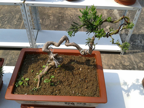 2013-05-21 14.10.41.jpg