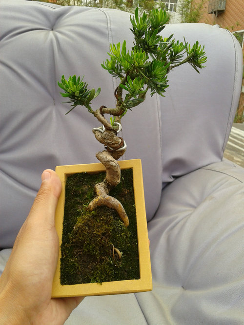 2013-05-27 13.36.18.jpg