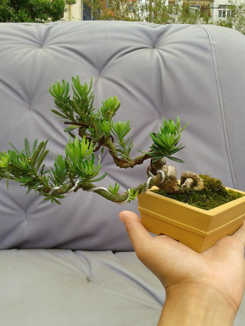 2013-05-27 13.36.33.jpg