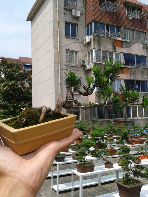 2013-05-27 13.39.24.jpg