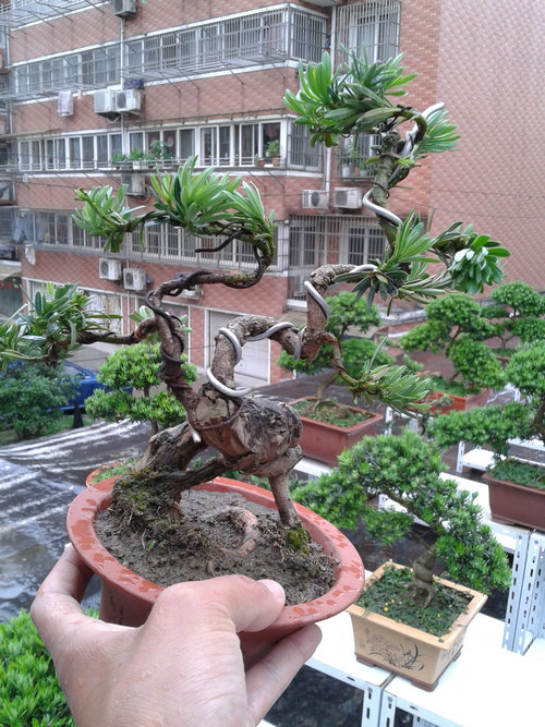 2013-05-26 13.29.59.jpg