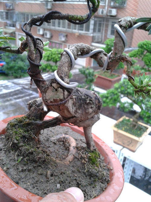 2013-05-26 13.30.13.jpg