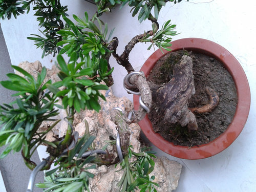 2013-05-26 13.37.26.jpg