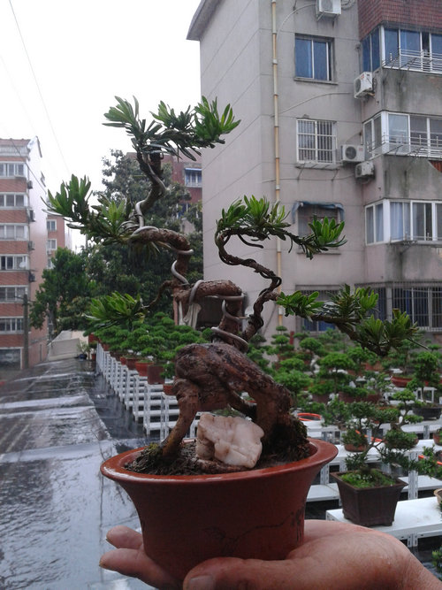 2013-05-26 13.14.22.jpg