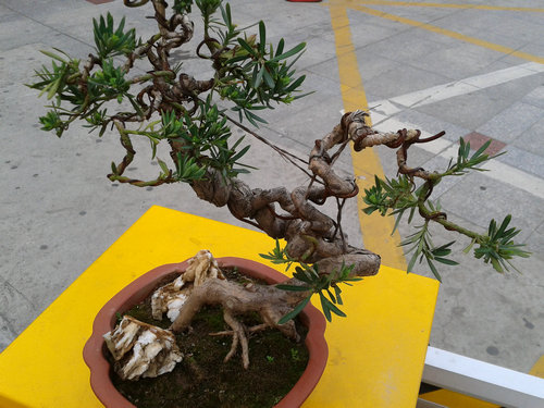 2013-04-17 17.40.30.jpg