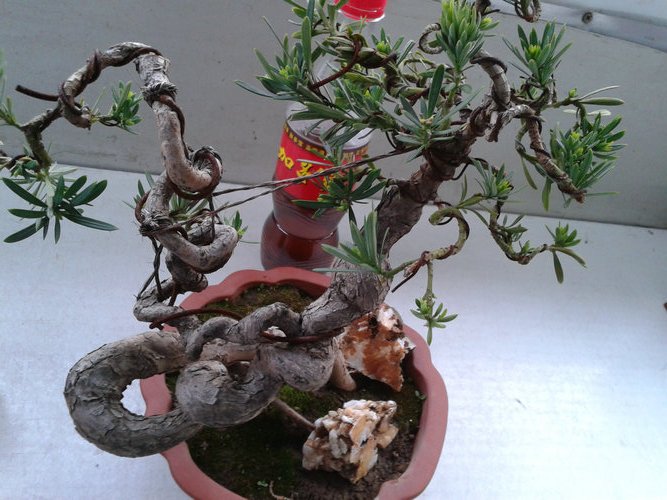 2013-04-17 17.47.36.jpg