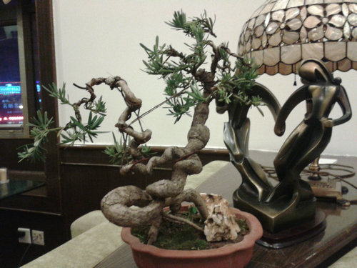 2013-04-17 19.09.57.jpg