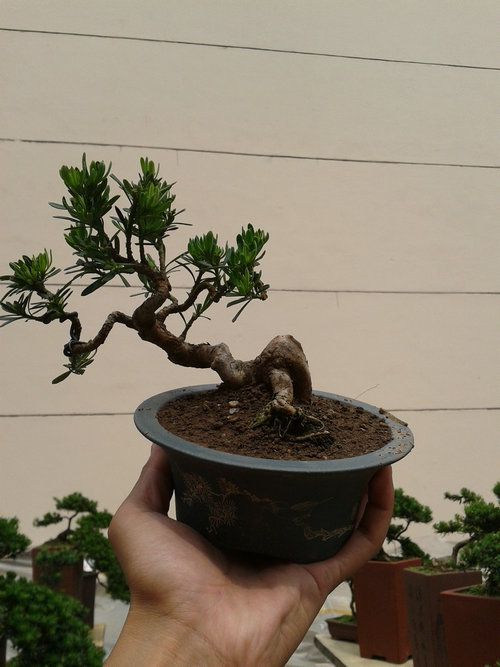 2013-05-29 13.47.54.jpg