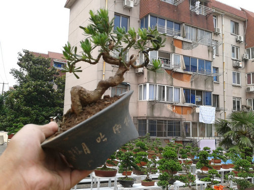 2013-05-29 13.51.22.jpg