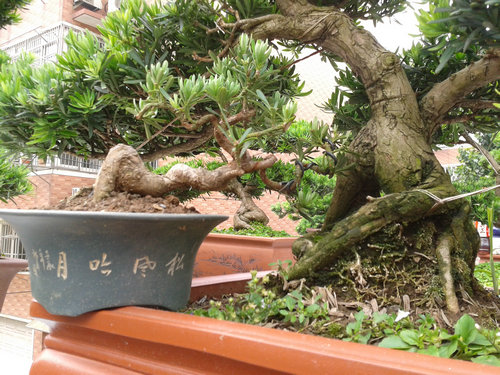 2013-05-29 14.22.07.jpg