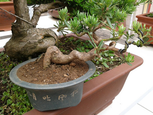 2013-05-29 14.24.22.jpg
