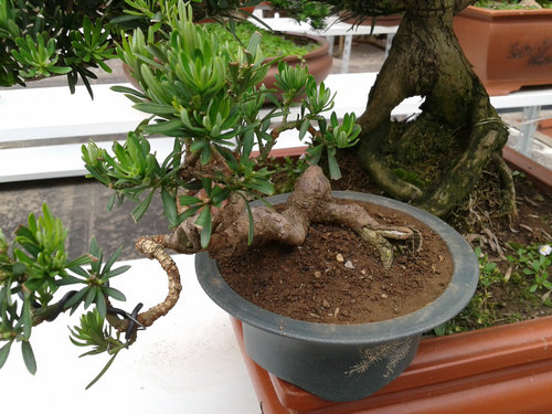 2013-05-29 14.17.16.jpg