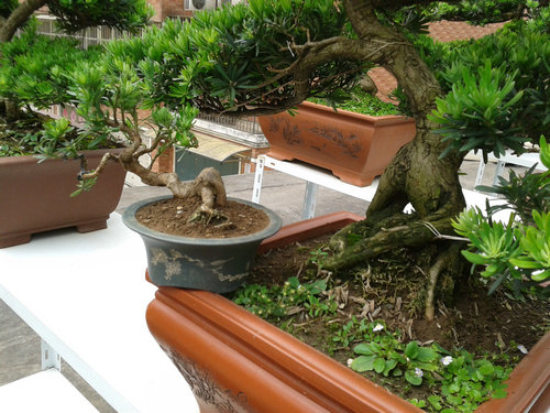 2013-05-29 14.17.41.jpg