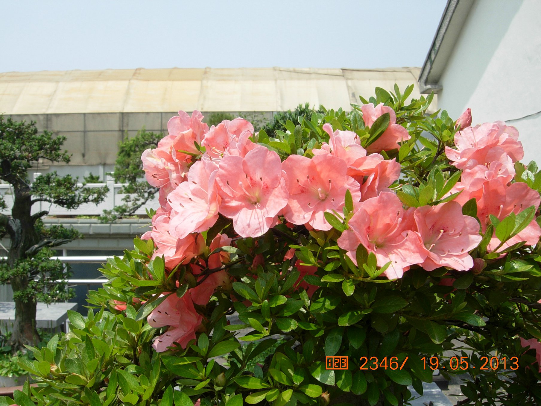 DSCN6887.JPG