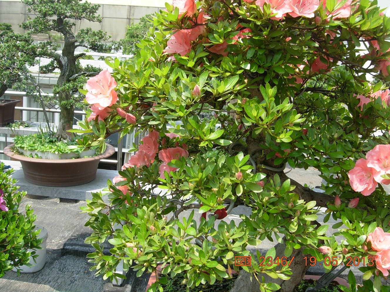 DSCN6889.JPG