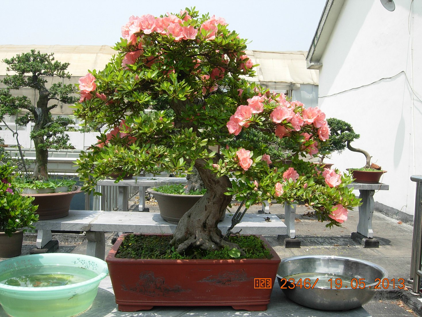 DSCN6890.JPG