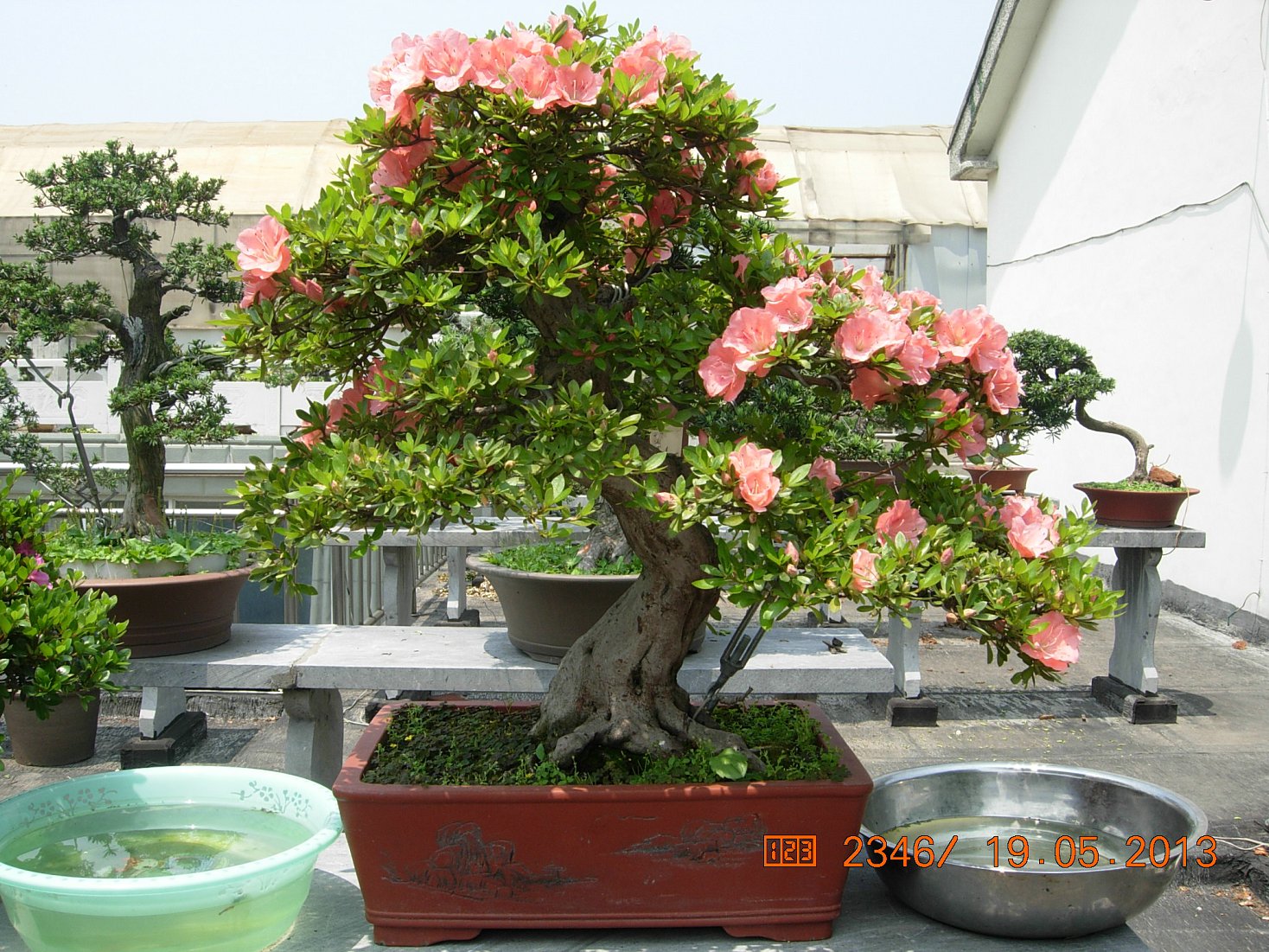 DSCN6891.JPG