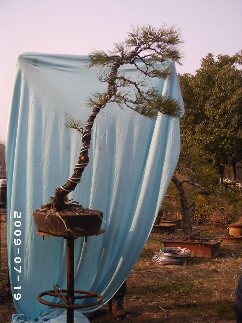 PHOT0136.JPG
